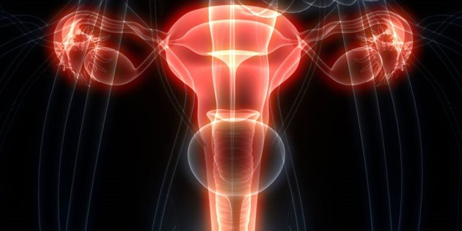 Engrosamiento endometrial ¿Qué es? - Doctor Alvaro Silva Marcano